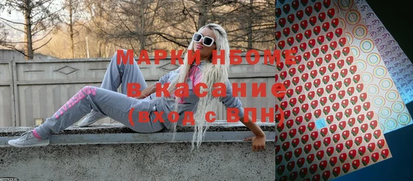 прущие грибы Пересвет