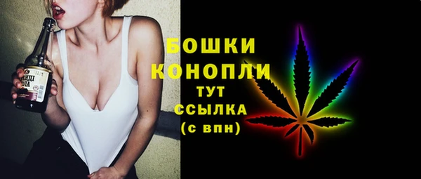 spice Богданович