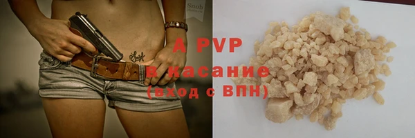 прущие грибы Пересвет