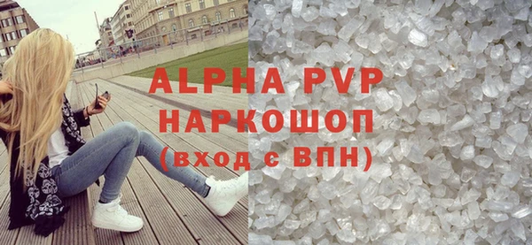 прущие грибы Пересвет
