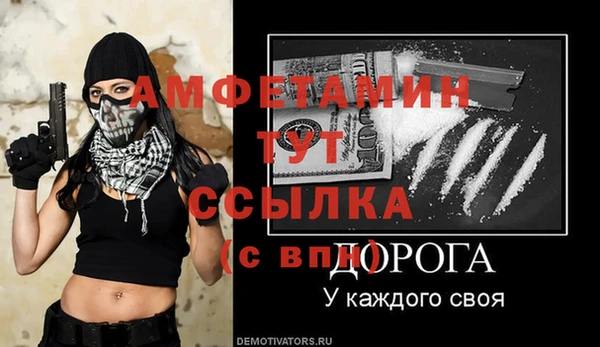 spice Богданович