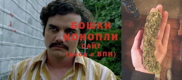 ALPHA PVP Богородицк